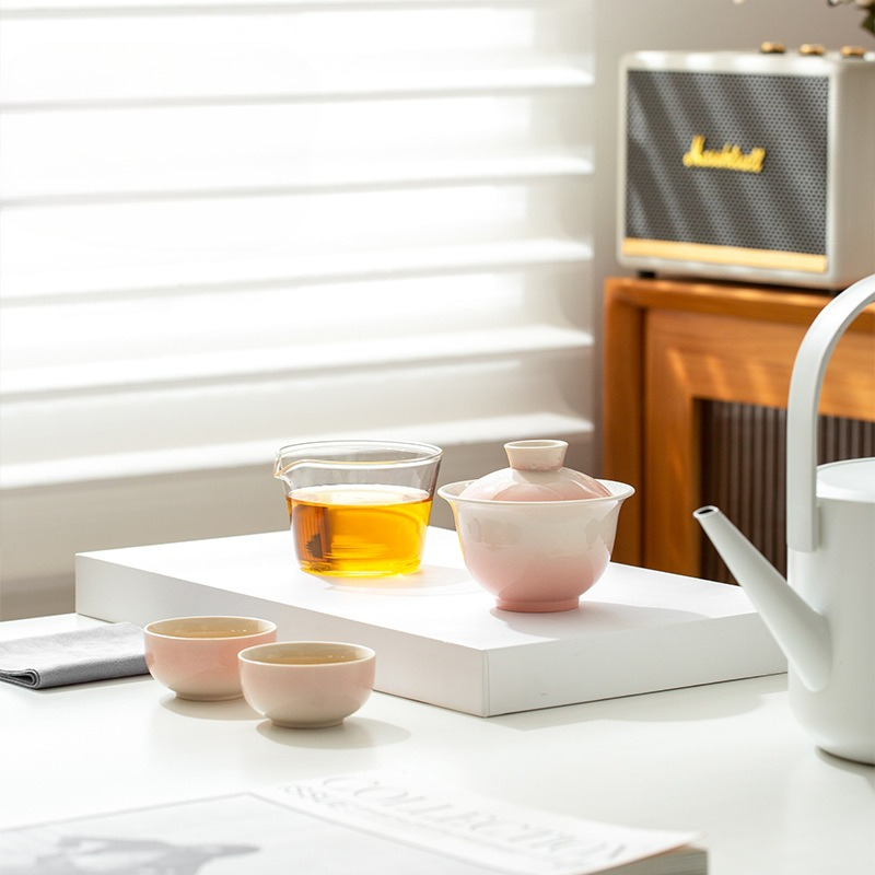 Plant Ash Glaze Gradient Trave - Portable Travel Kettle review and price